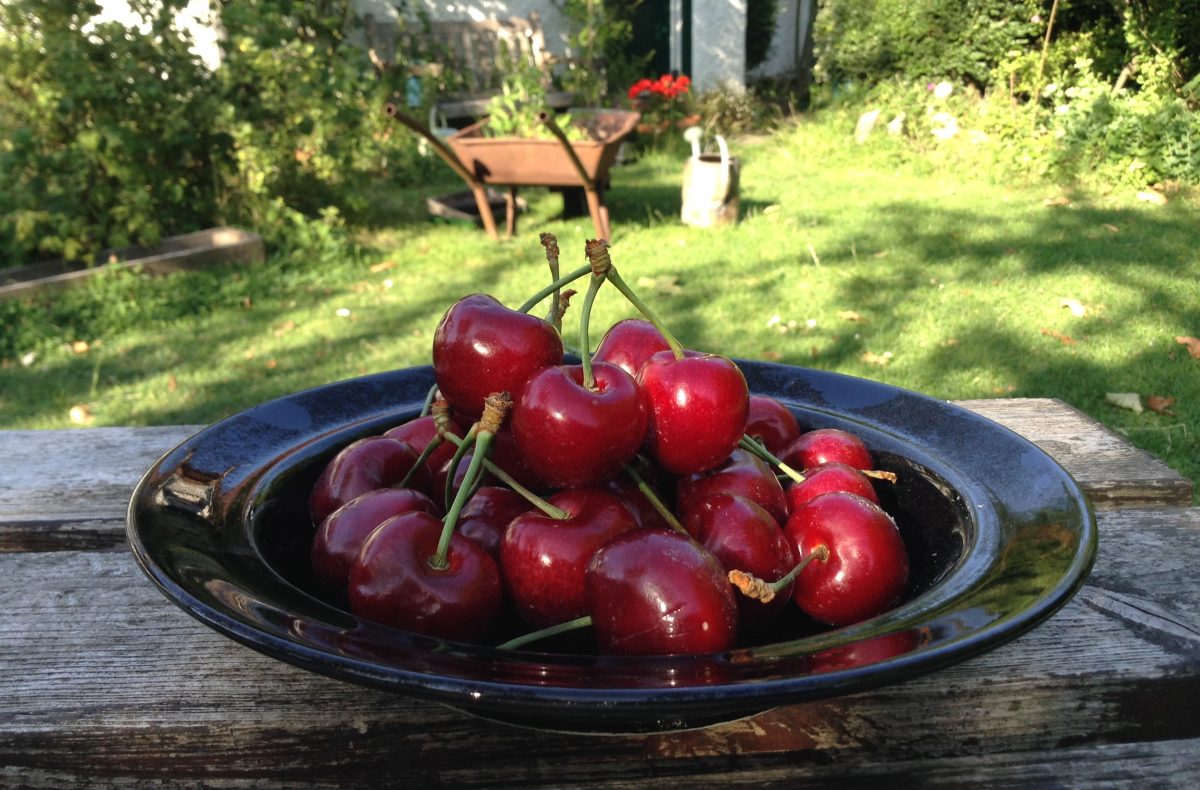 Small stories, significant things